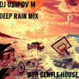 Dj Osipov M. Deep rain mix