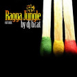Dj B.CAT-Ragga-jungle open air cut mix