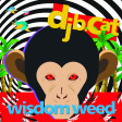 Dj B.CAT-Wisdom weed